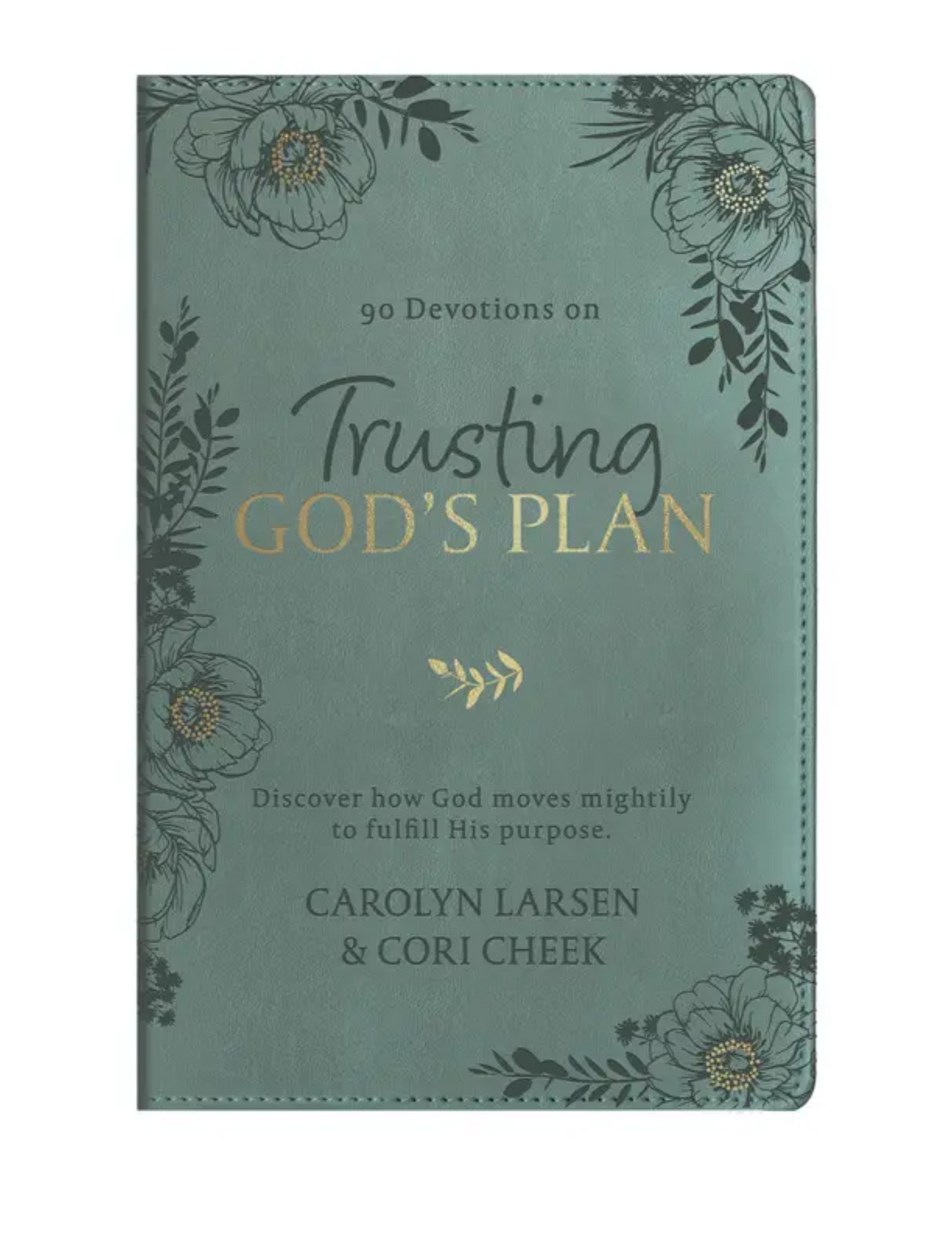 Trusting God’s Plan – 90-Day Devotional