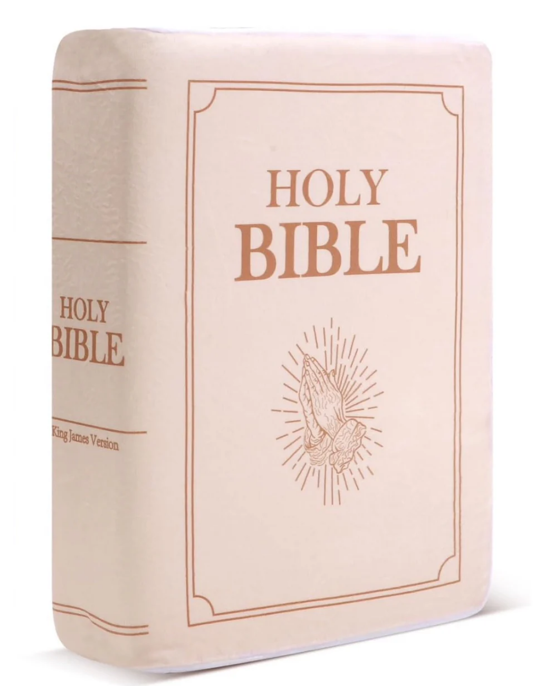 Bible Pillow