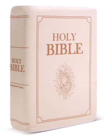 Bible Pillow